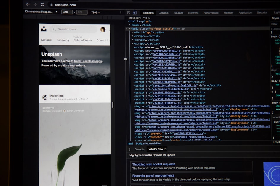 Understanding WordPress Themes